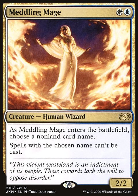 Meddling Mage